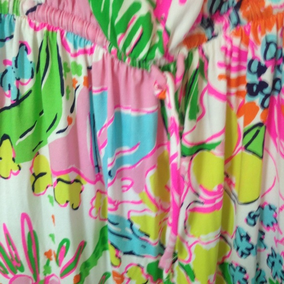 Lilly Pulitzer For Target Maxi Dress. - Picture 3 of 3